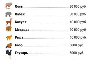 25 шпаргалок, гайдов и советов, которые обязательно помогут разобраться в этой жизни