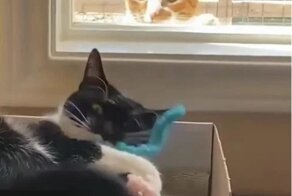 На его месте должен быть я!