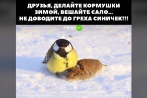 Зима, холода... Убойный пост, припорошенный снегом