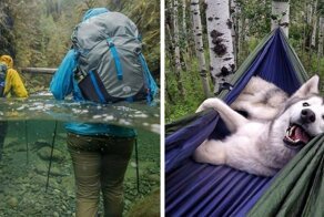 17 интересных моментов, которые люди успели сфотографировать, когда отправились в поход