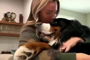 Полное взаимопонимание