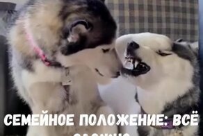 От любви до ненависти один шаг