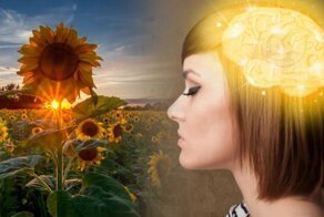 Все мы немного супермены?