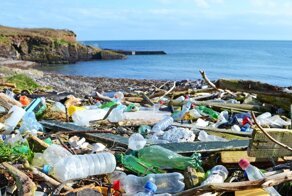 Микробы в воде и почве адаптировались к поеданию пластика