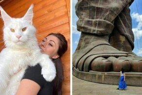 16  предметов, которые кажутся слишком огромными для этого мира
