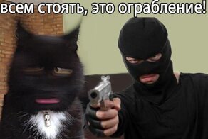 В Екатеринбурге грабитель аптеки дал фармацевту номер телефона для перевода