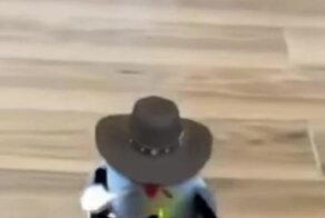 Ковбой вышел на тропу войны 