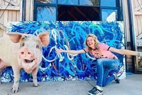 Свинья нарисовала картину, которую продали за рекордную сумму