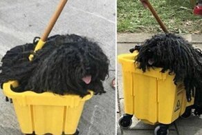 15 хитрых снимков, которые любого могут поставить в тупик