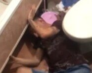 24-летний серийный вор стал альфонсом, чтобы спрятаться от полицейских, но его нашли под ванной