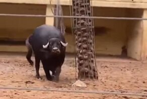 Помощь пришла, откуда не ждали