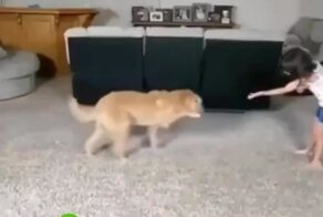 Дружба крепкая не сломается