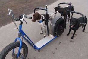 И по воде плавает, и бегать заставляет: несколько видов самокатов, о которых вы могли не знать