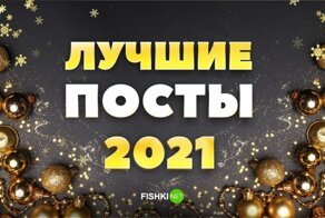 Лайкай меня полностью: самые понравившиеся посты 2021 года