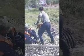 Укрощение строптивого