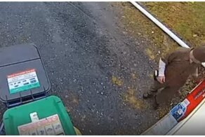 Курьер спрятал доставленный товар, чтобы его не украли