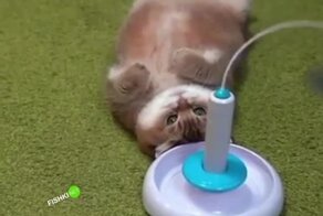 Все для хорошего настроения