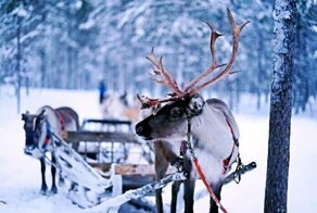 Интересные факты с просторов интернета