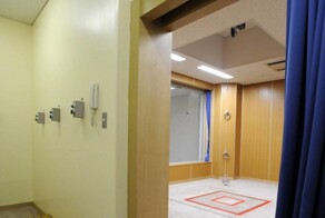 Повешены: народ за смертную казнь