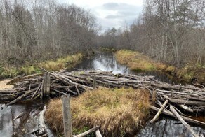В глухой и безлюдной тайге на Севере нашли заброшенную зону - жутковатое местечко