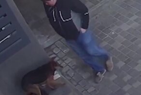 "Сволочь года!": в Воронеже быдлан забрал у щенка подстилку и выбросил еду