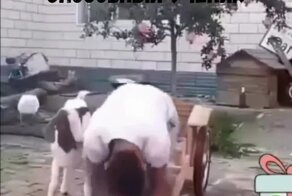 Неопытный, но способный ученик