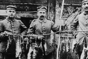 Как солдаты боролись с окопными крысами в Первую мировую войну