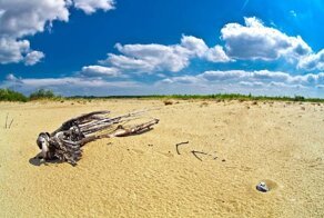 15 фото настоящей пустыни в Польше: откуда она там взялась?