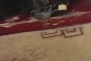 Отличная мышеловка 