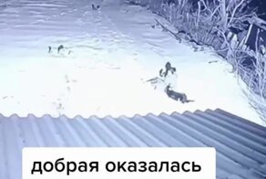 Оказалась доброй