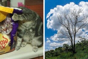 30 классных фото, которые заставляют взглянуть на мир под другим углом