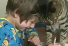 У кота случился приступ нежности