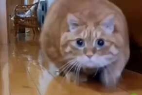 Подкрался незаметно