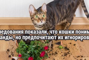 30 фактов о нашем мире, которые заставляют взглянуть на него по-новому