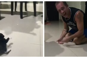 А ведь совсем недавно он говорил "Никакого кота в доме!"