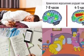 «Спать или не спать? Вот в чём вопрос!»: насколько вреден дневной сон