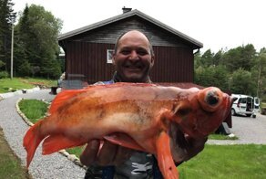 17 фотографий, которые заставят вас протереть глаза