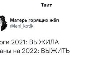 "Просто выжить!": пользователи поделились планами на 2022 год