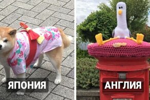 16 необычных деталей из разных стран, которые люди заметили во время путешествий