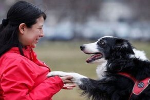 Собаки умеют понимать разные языки