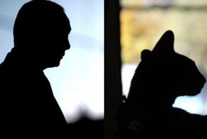 Кот за 9,5 миллиона рублей, а пес-космонавт за 500 тысяч рублей: туляк продает "знаменитых" дворняжек