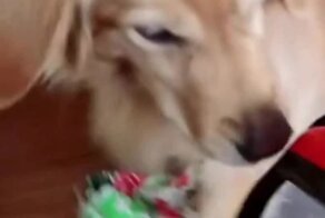 Полезный и нужный подарок