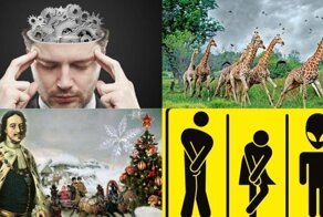 Время пополнять копилку знаний: любопытные факты из разных областей