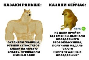 Никто не дискредитирует казаков так сильно... как сами казаки
