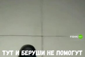 Родственные души храпят в унисон