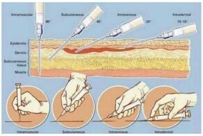20 полезных  шпаргалок о нашем теле, здоровье, еде и хорошей жизни