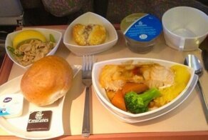 Турист из России чуть не умер, съев на борту самолета Emirates обед, в котором было стекло