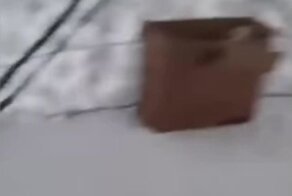 Курьезный случай на зимней рыбалке