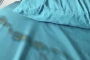 Попугай набросил на вентилятор