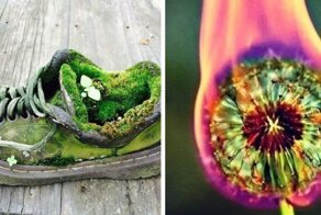 35 фото разных занятных вещиц, которые не каждый день увидишь